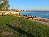 Am Seeufer von Friedrichshafen.