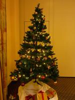 Christbaum im Konferenzraum Hotel IBB City Centre Passau
