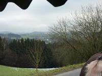 Pferdekutschfahrt beim Michlbauern