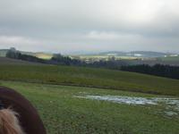 Pferdekutschfahrt beim Michlbauern