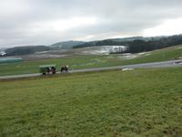 Pferdekutschfahrt beim Michlbauern