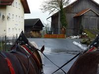 Pferdekutschfahrt beim Michlbauern