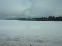 Schneelandschaft im Bayerischen Wald