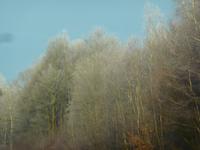 Landschaft Bayerischer Wald