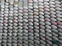 Grimmwelt Kassel, Grimmscher 