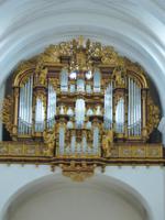 Dom zu Fulda, Orgel