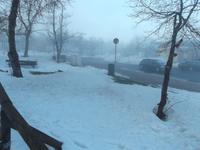 Winter auf der Wasserkuppe /Rhön