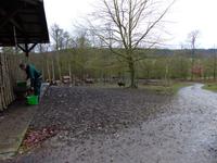 Wildpark Knüll - Fütterung