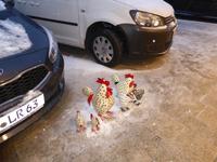 Winterberger Wintermarkt