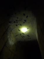 Maastricht Sint Pieter Grotten