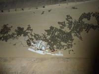 Maastricht Sint Pieter Grotten