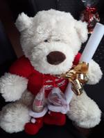 Heilig-Abend (Überraschung im Bus)