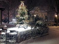 Schneefall am 30. 12. 17