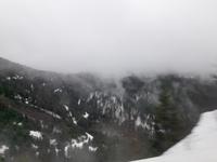 Trübes Wetter im Schwarzwald