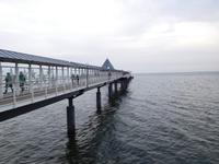 Seebrücke Heringsdorf