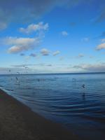 Neujahrsspaziergang am Strand