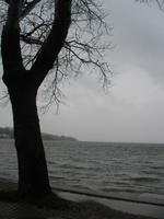 Ammersee