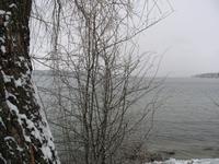 Detail am Starnberger See