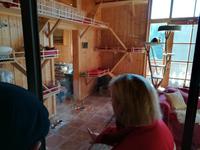 Das Katzenwohnzimmer auf Gut Aiderbichl.