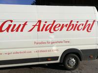 Ein Besuch am Heiligenabend  -  wundervoll !