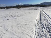 Und immer wieder Spuren im Schnee.