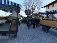 Nach der Rückkunft wird das Pferd belohnt.