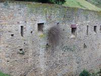Burg Querfurt, Wehranlage