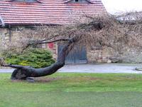 Burg Querfurt, Burghof