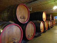 Rotkäppchen-Sektkellerei Freyburg, Fasskeller