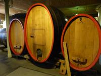 Rotkäppchen-Sektkellerei Freyburg, Fasskeller