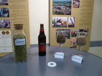 Rundgang durch die Köstritzer Schwarzbierbrauerei