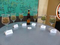 Rundgang durch die Köstritzer Schwarzbierbrauerei