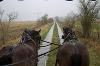 055-Schloss Diedersdorf
