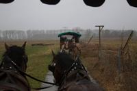 056-Schloss Diedersdorf