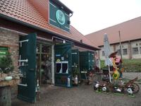 Alte Schafstall Basedow