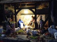 die Weihnachtskrippe