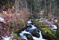 Triberger Weihnachtszauber