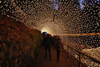 Triberger Weihnachtszauber