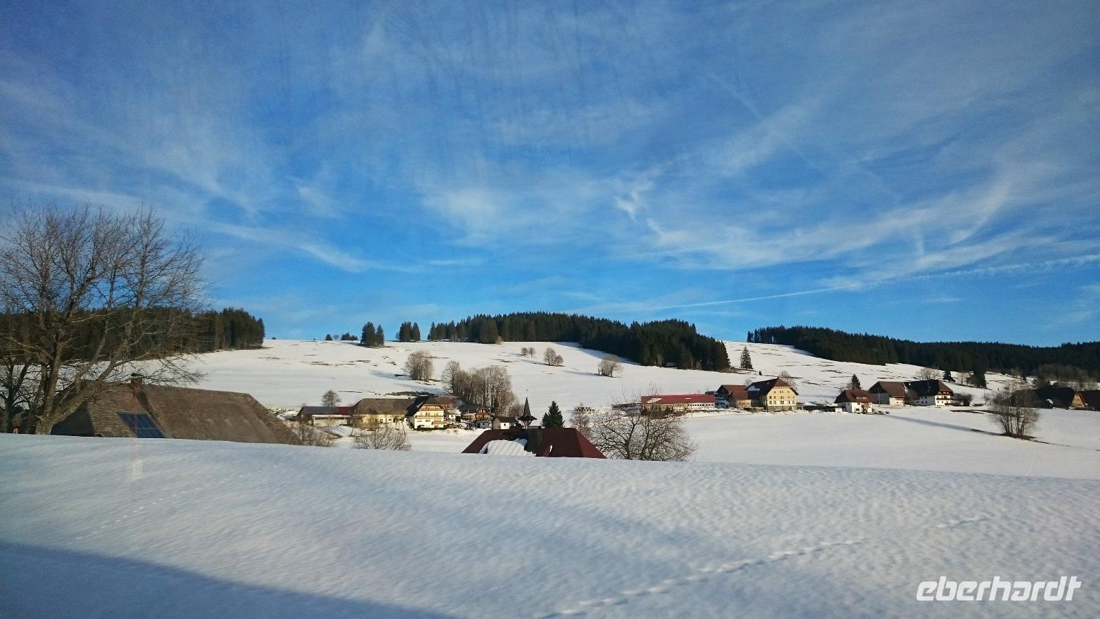 Schwarzwald-Landschaft