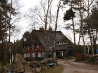  In dre Lüneburger Heide...