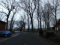  Blick vom Allerhof auf den Fluss