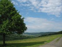 Birx - Aussicht vom Dorfrand