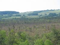 Schwarzes Moor - Aussicht vom Turm