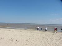 Das Wattwasser ist warm