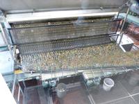 Die Leergutreinigung