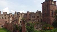 Schlossruine Heidelberg