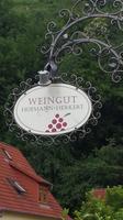 Weingut  in Klingenberg