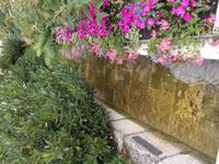 DSCN1179  Stück alter Stadtmauer u.Graben B.Reichenhall