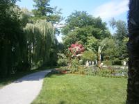 Meisterwerke der Gärtner von Mainau