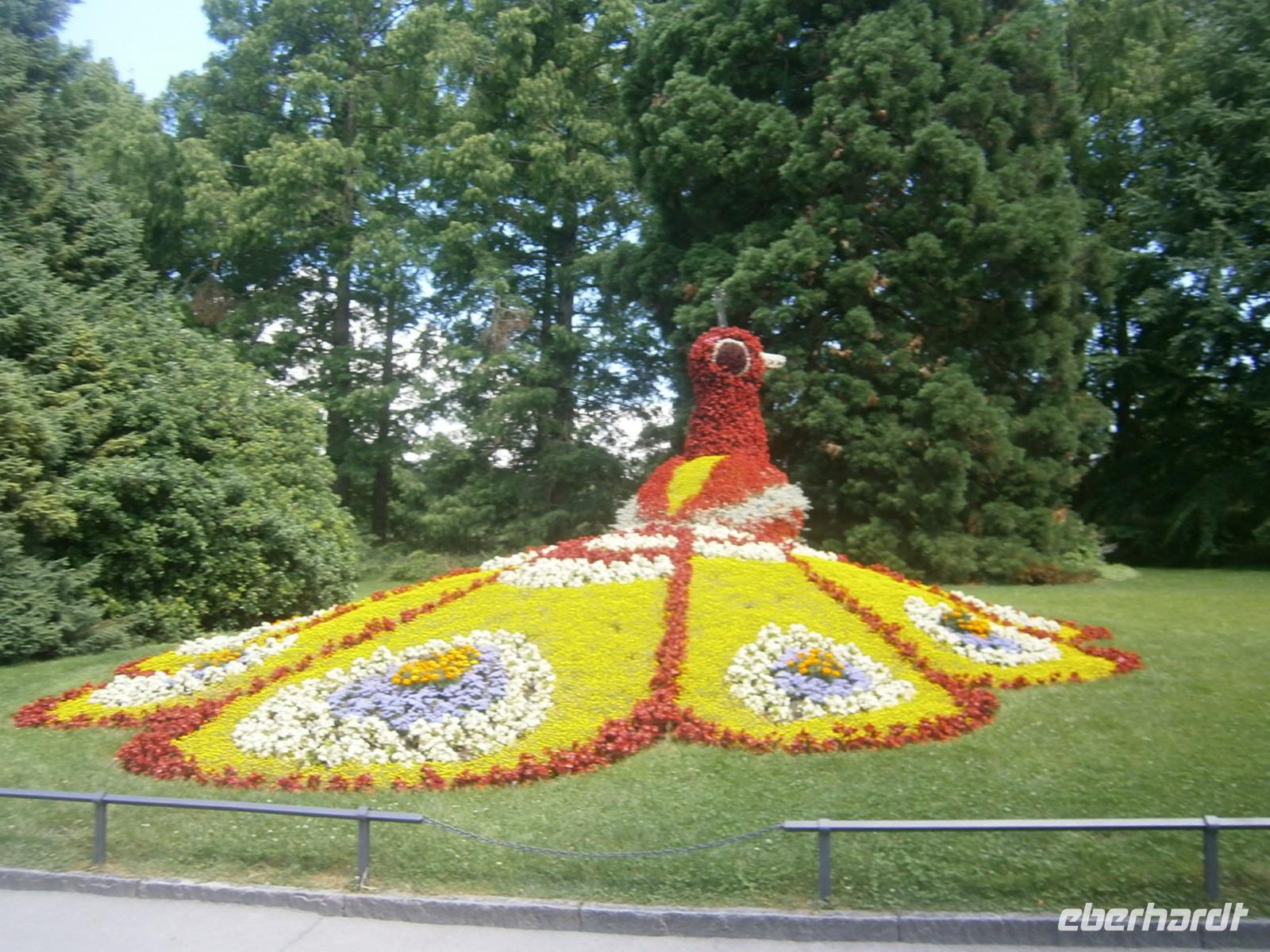 Ein Symbol des Parks, der Blumenpfau